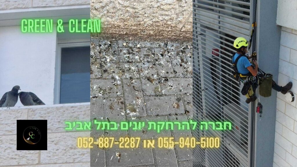 התקנת רשתות נגד יונים בתל אביב